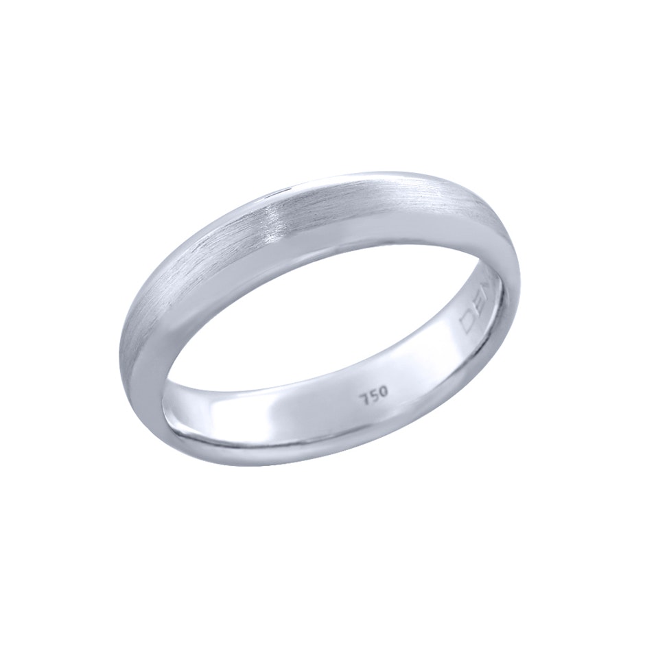 Matte-and-Polish-Band-wg.jpg